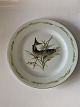 Lunch plate#Mads Stage Fish frame
Measures 20 cm