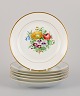 item no: 
533956