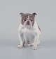 Bing & Grøndahl, rare porcelain figurine of an English bulldog.