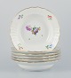 item no:
536907 item no:
536907