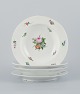 item no:
536919 item no:
536919