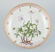 Royal Copenhagen, Flora Danica, early bowl.