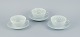 item no:
540837 item no:
540837