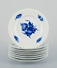 item no: 
542084
