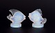 item no:
542490 item no:
542490