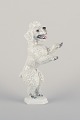 item no:
543967 item no:
543967