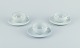 item no:
549785 item no:
549785