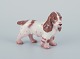 Bing & 
Grøndahl, 
porcelænsfigur 
af cocker 
spaniel.