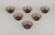 item no:
559999 item no:
559999