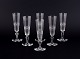 item no:
560014 item no:
560014