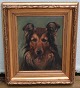 Dog Painting: Border Collie Signed "BOB" Simon Simonsen 1910  26 Oild on canvas 
49 x 41 cm