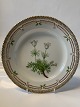 Royal Copenhagen Flora Danica, Frokost tallerken
Dek. nummer 20/3550
Diameter 22 cm.