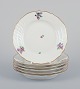 item no:
566062 item no:
566062