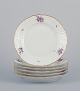 item no:
566069 item no:
566069
