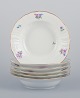 item no:
566073 item no:
566073