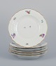 item no:
566089 item no:
566089