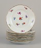 item no: 
570261
