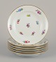 item no: 
570283