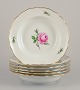 item no: 
570285