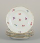 item no: 
570733