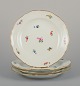 item no: 
570734