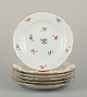 item no: 
570745