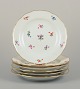 item no: 
570746