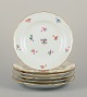item no: 
570747