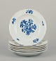 item no: 
570755