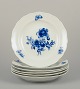item no: 
570757