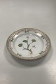 Royal Copenhagen Flora Danica Salat Tallerken No 20 / 3573