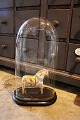 Dekorativ , 
gammel oval 
fransk glas 
Dome / Globe 
på ...