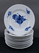 Antikkram 
præsenterer: 
Blå Blomst 
Flettet 
porcelæn. Sæt 
på 10 
Kagetallerkener 
nr. 8092 i 
1.sort.