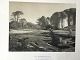 Ole Buus Larsen 
præsenterer: 
Litografi 
af Ad. 
Kittendorff - 
Parti fra 
Horneland ved 
Faaborg 1869.