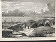 Ole Buus Larsen 
præsenterer: 
Xylografi 
af Carl Jensen 
- "En 
Fiskeplads 
mellem 
Ringkjøbing og 
Nissum Fjorde".