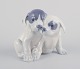 item no:
608701 item no:
608701