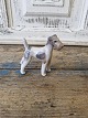 Royal 
Copenhagen 
Figur - Ruhåret 
Terrier no. 
3170