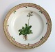 Royal Copenhagen, Flora Danica. Kage tallerken. Design #3551. Diameter 17 cm. (1 
sortering). Saxifraga stellaris L