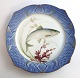 Royal Copenhagen. Fiskestel No.19. Model 3002. Diameter 22,5 cm. Clupea 
harengus. Produceret før 1923. (1 sortering)