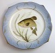 Royal Copenhagen. Fiskestel No.19. Model 3002. Diameter 22,5 cm. Cyprinus tinca. 
Produceret før 1923. (1 sortering)