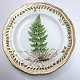 Royal Copenhagen Flora Danica. Lunch plate with open-work border. Design # 3554. 
Diameter 23 cm. (1 quality). Produced before 1890. Lastrea cristata Presl