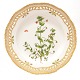 Aabenraa 
Antikvitetshandel 
præsenterer: 

Flora 
Danica 
tallerken. 
Royal 
Copenhagen 
Flora Danica 
middagstallerken 
...