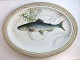 Lundin Antique 
præsenterer: 

Royal 
Copenhagen. 
Fauna Danica, 
fisk. Ovalt 
serveringsfad. 
Model # 19 - 
3520. ...