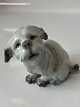 Antik Huset 
præsenterer: 

Dahl 
Jensen hunde 
figur, 
Malteser.
Dek. Nr. 1120