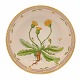 Aabenraa 
Antikvitetshandel 
præsenterer: 
Royal 
Copenhagen 
Flora Danica 
rund skål 
#3505. 
"Leontodon 
hirtum Müll". 
...