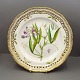Royal Copenhagen, Flora Danica; Dinner plate #3553
