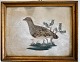 Pegasus – Kunst 
- Antik - 
Design 
presents: 
Kiebitz, 
Wilhelm (1847 - 
1869) Denmark: 
A partridge. 
Feather image 
...