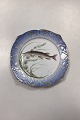 Danam Antik præsenterer: Royal Copenhagen Blåt Fiskestel Tallerken No. 19/3002