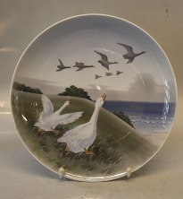 Decorative wall hanging plates