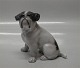 Royal Copenhagen figurine 2802 English Bulldog KK 1927 11 x 12 cm
